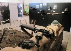 19 3 IMG_8366