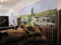 19 IMG_8367 N