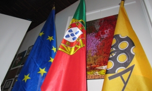 36 IMG_6774