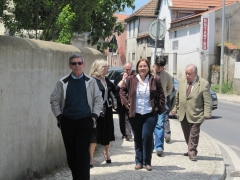 IMG_3530 V