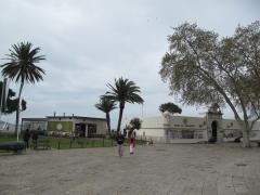 IMG_8537